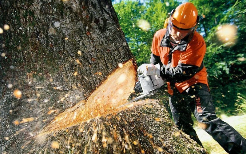 спиливание дерева